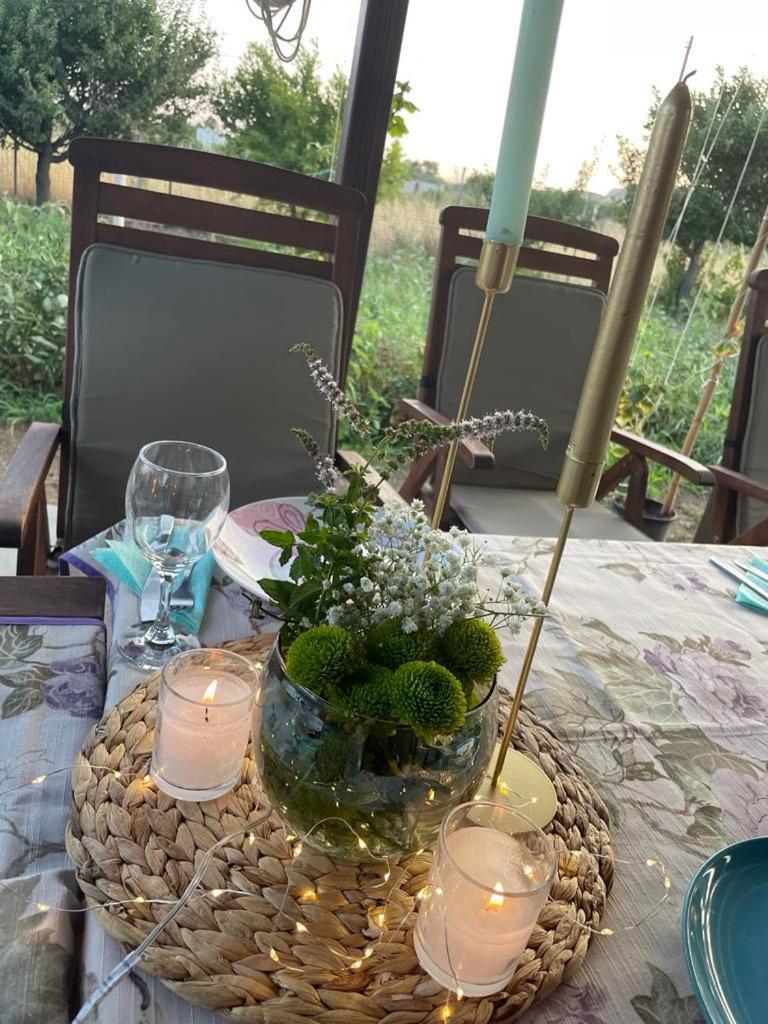 Manolis Cottage Thanos Dış mekan fotoğraf