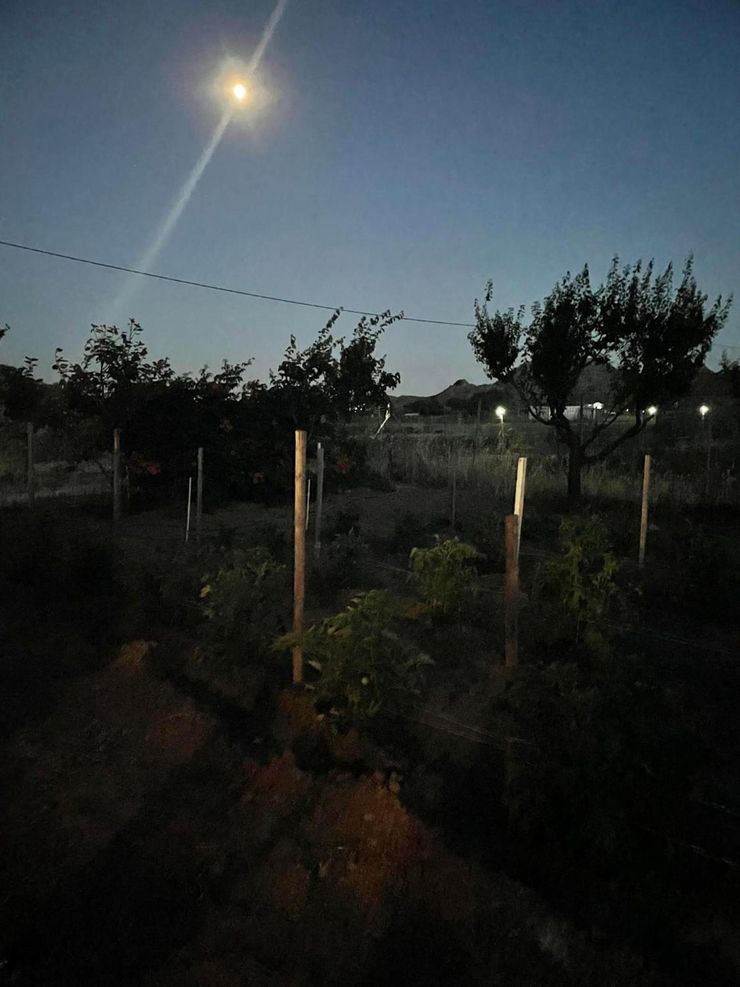 Manolis Cottage Thanos Dış mekan fotoğraf